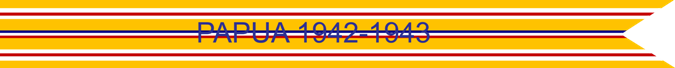 PAPUA 1942-1943 US AIR FORCE CAMPAIGN STREAMER